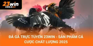 Đá gà trực tuyến 23win